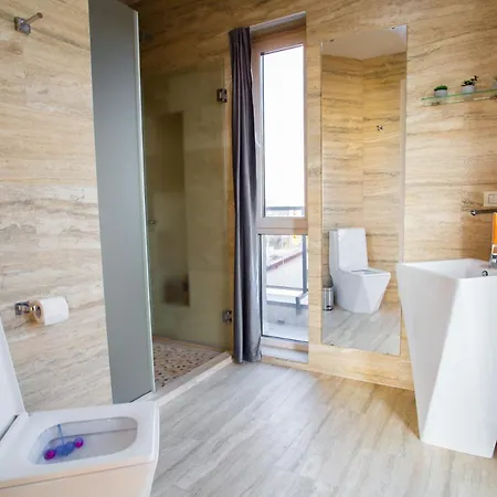 Thome Vlaicu Penthouse