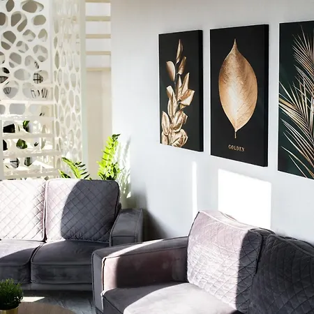 Thome Vlaicu Penthouse Apartament *